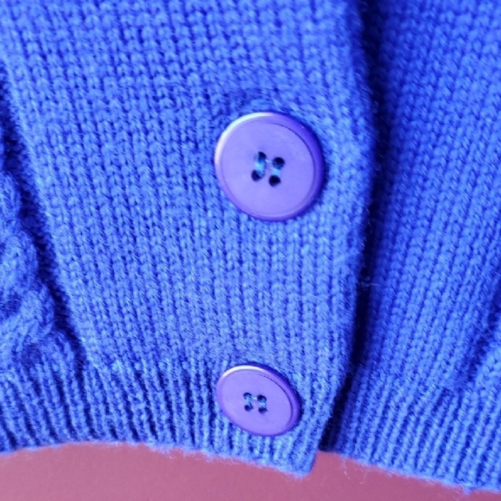 Pendleton Blue Cable Knit Vest - image 5